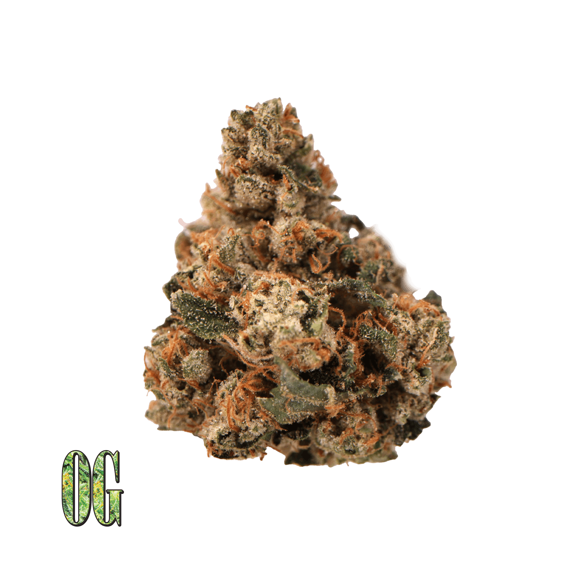 Traditional — OG