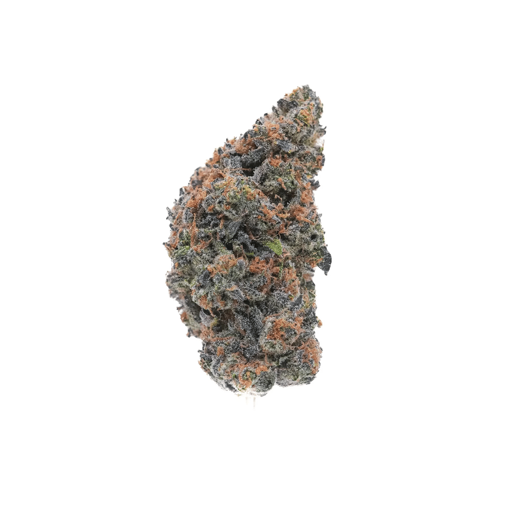 Lumpy's Flowers — Morello Sorbet