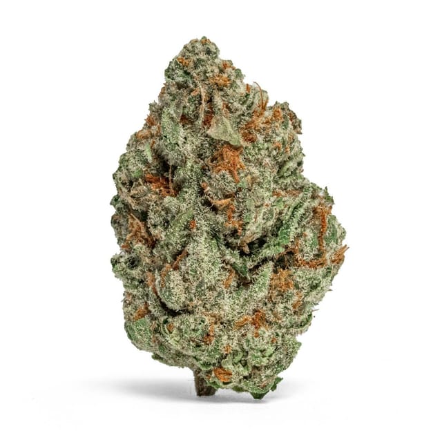 Mango Haze | 14g