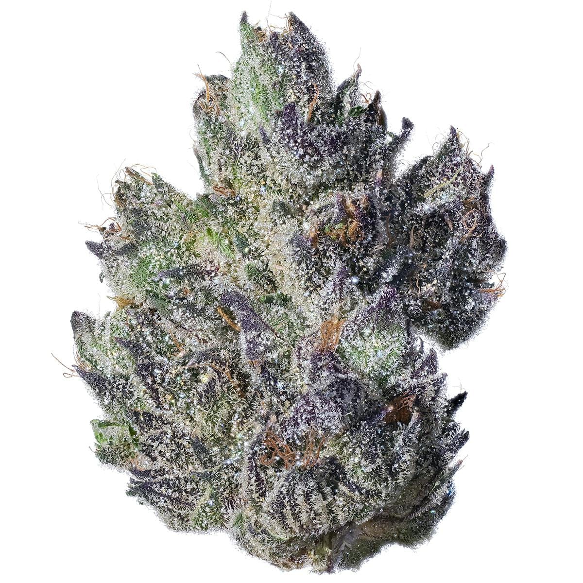 Fig & Cherry | 3.5G Flower