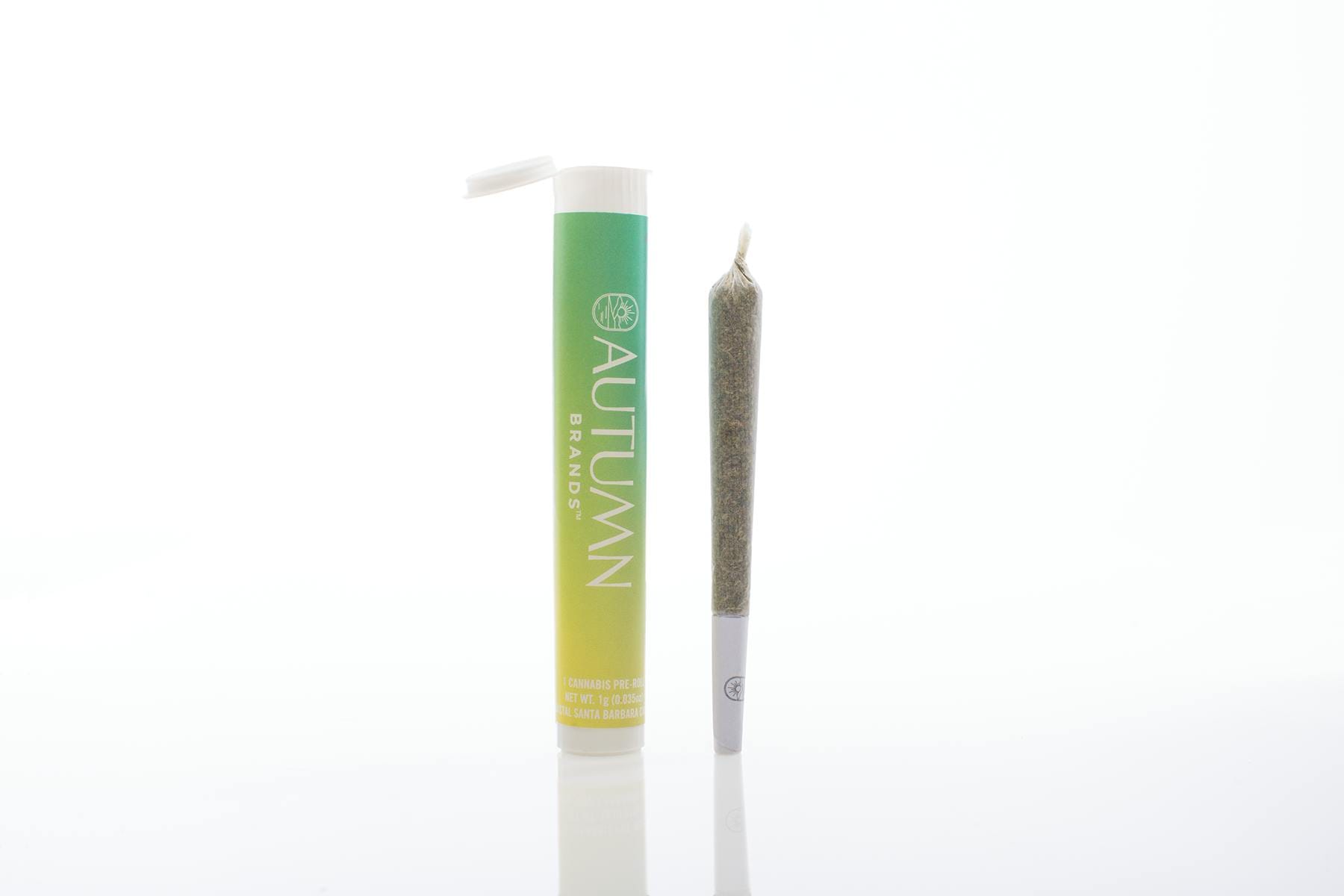 Ocean Haze 1g Preroll