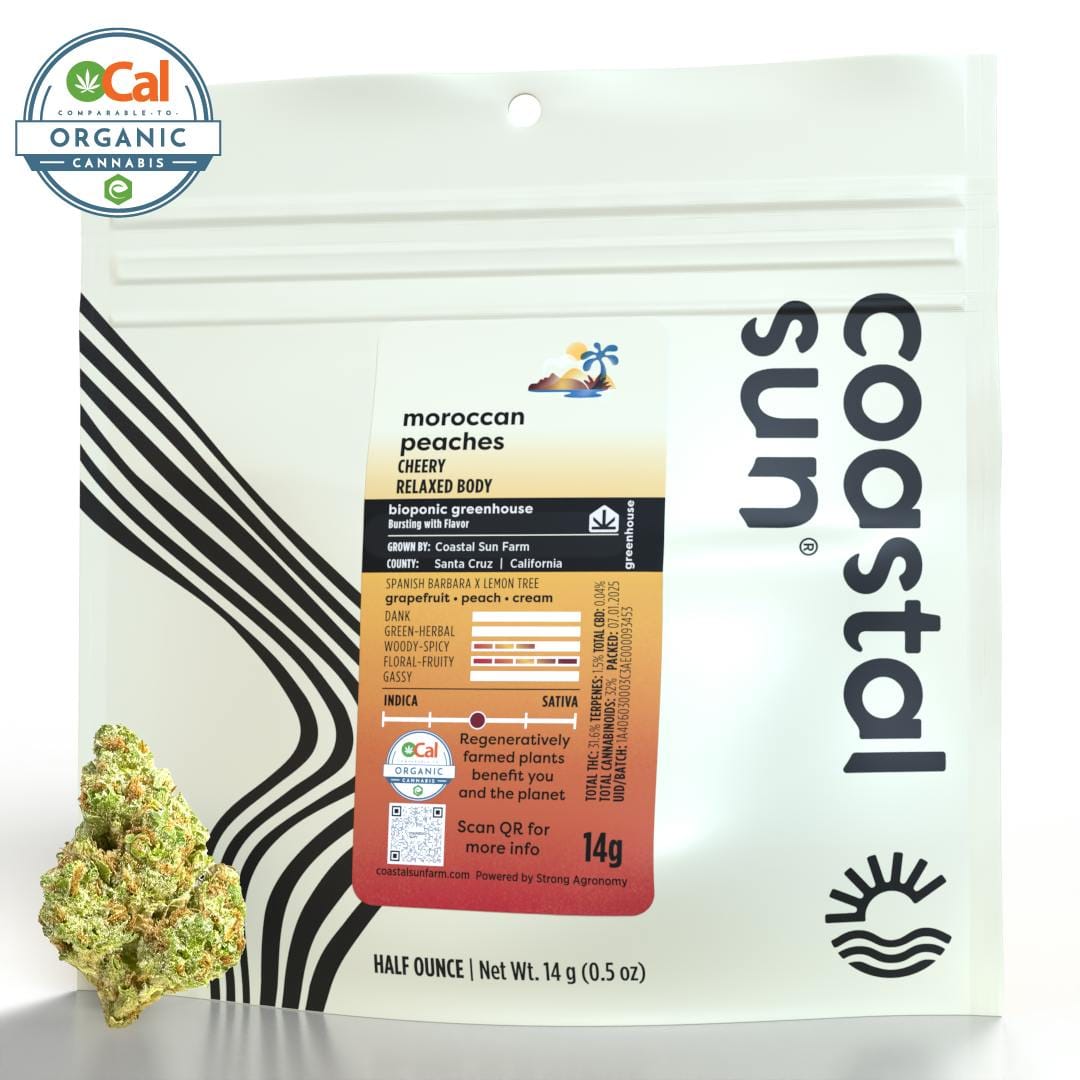 Coastal Sun — Moroccan Peaches