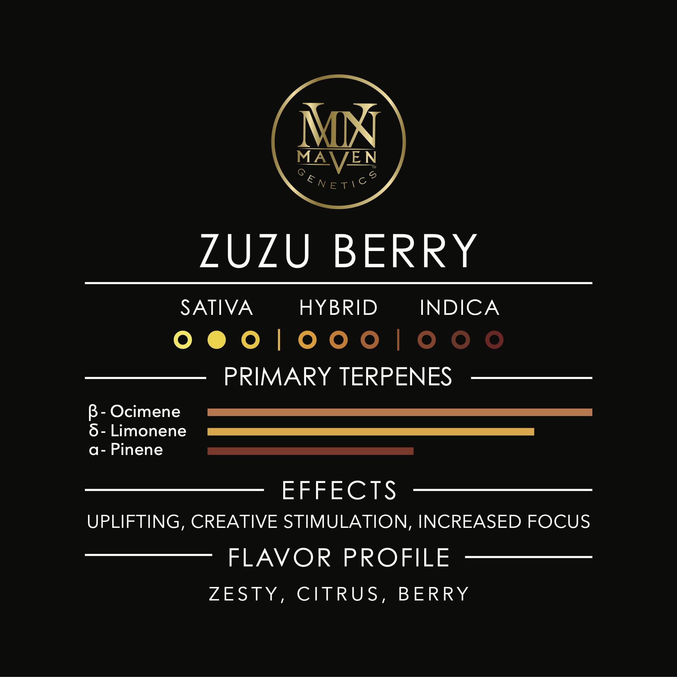 Maven Genetics — Zuzu Berry