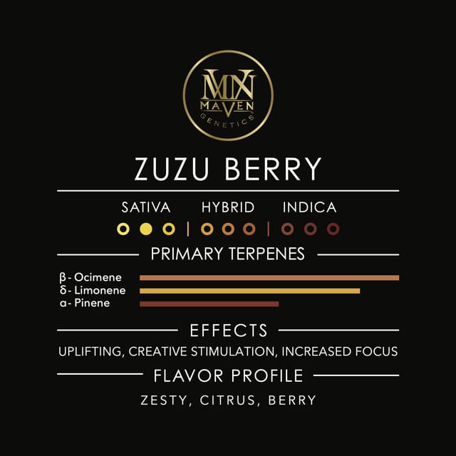 Maven Genetics — Zuzu Berry