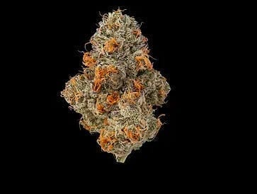Krypto Chronic 1 | 3.5g Flower