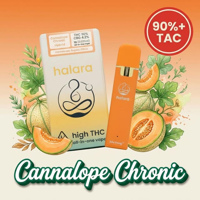 Cannalope Chronic | 1g AIO