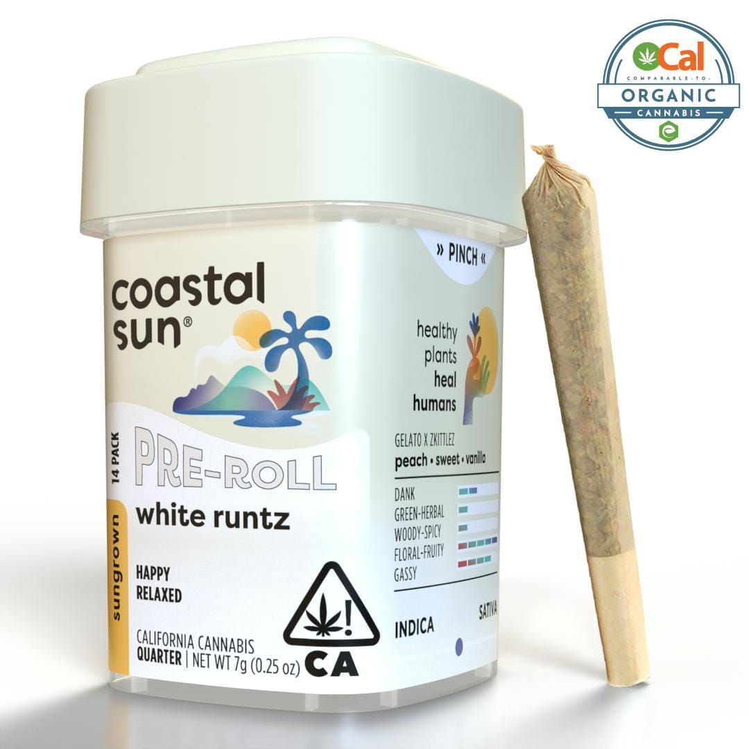 Coastal Sun — White Runtz