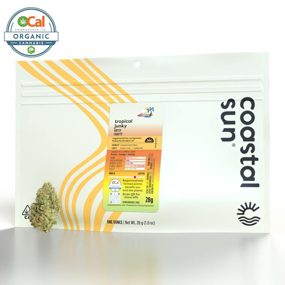 Coastal Sun — Tropical Junky