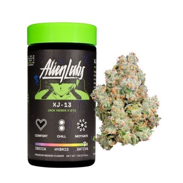 XJ-13 | 10g
