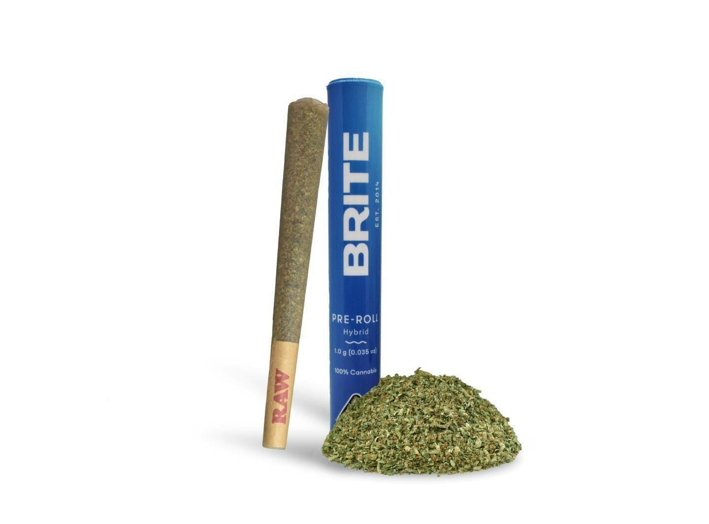 Brite — Biscotti Sherb