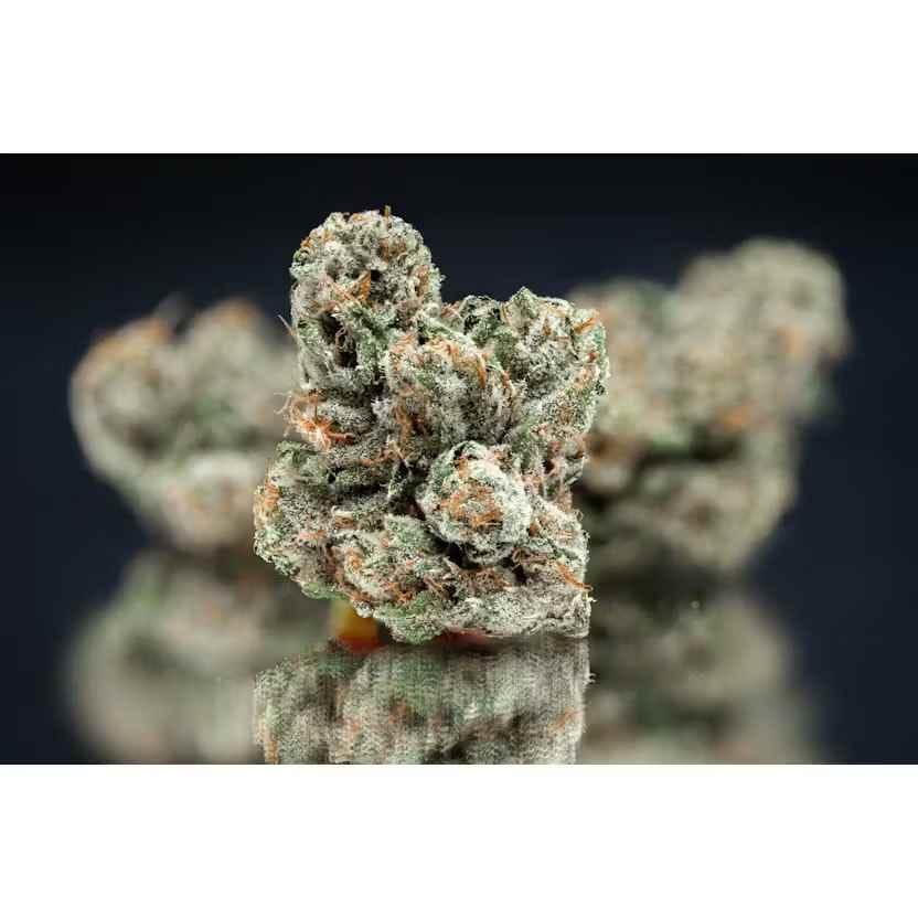 NAMELESS — Mega Wellness OG