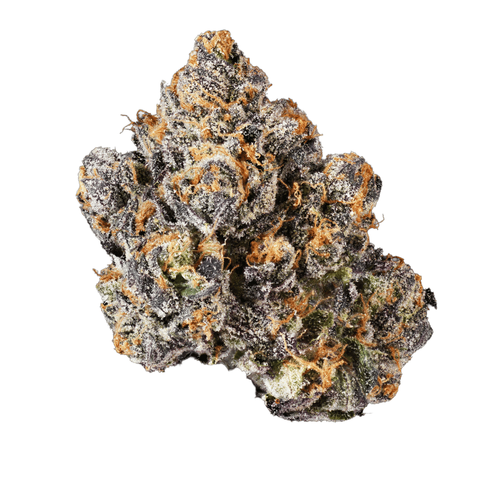 Connected Cannabis Co — Midnight Bubba