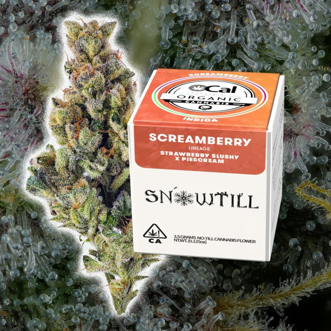 Snowtill — Screamberry