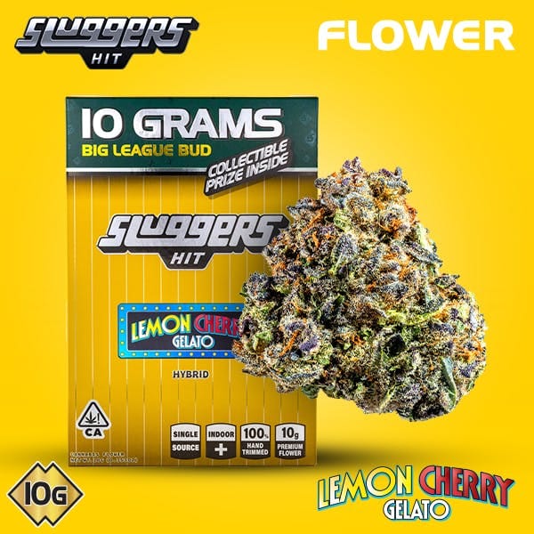 Lemon Cherry Gelato 10g