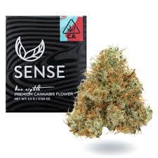 Sense: Northern Lights