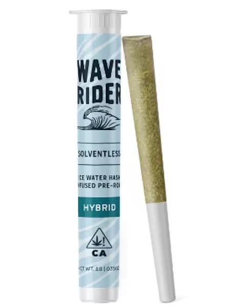 Wave Rider — Cream OG