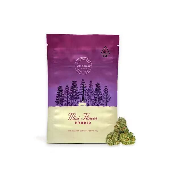 Grape Chimera | Mini | 7G Flower