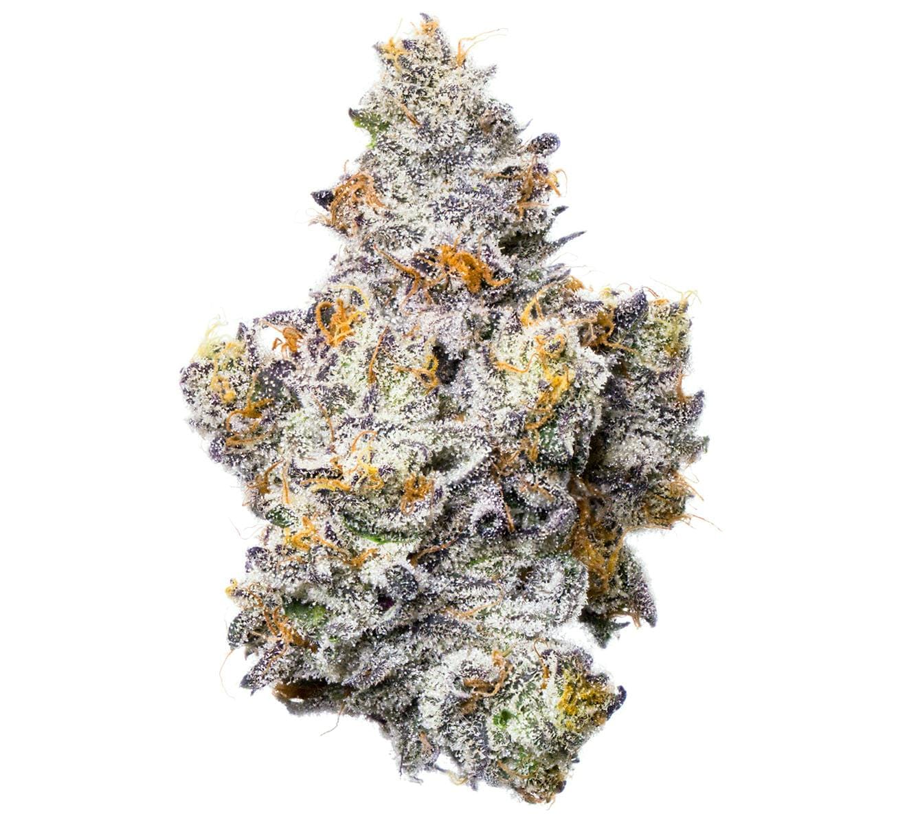 Fig Farms — Shady Scotty