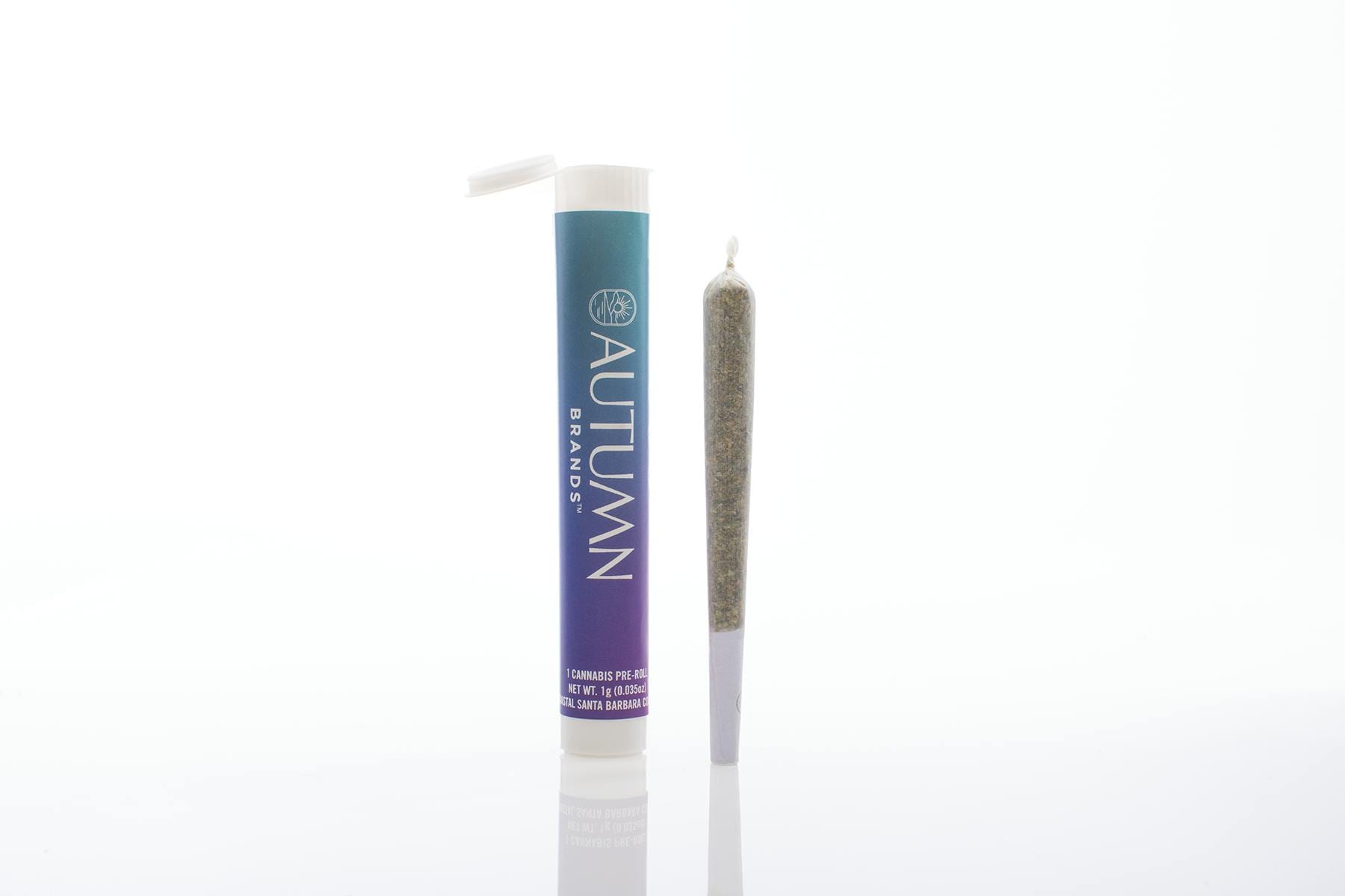 Purple Dump Truck 1g Preroll