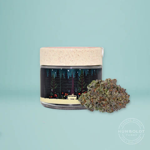 Bubble Belts | Mini | 3.5G Flower