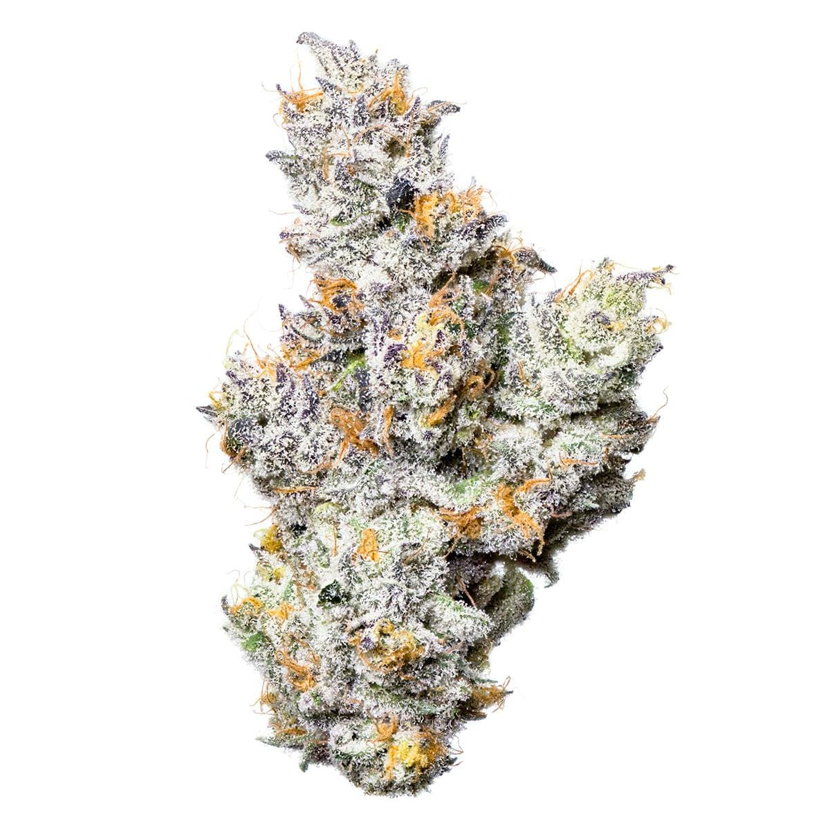 Fig Farms — Shady Scotty