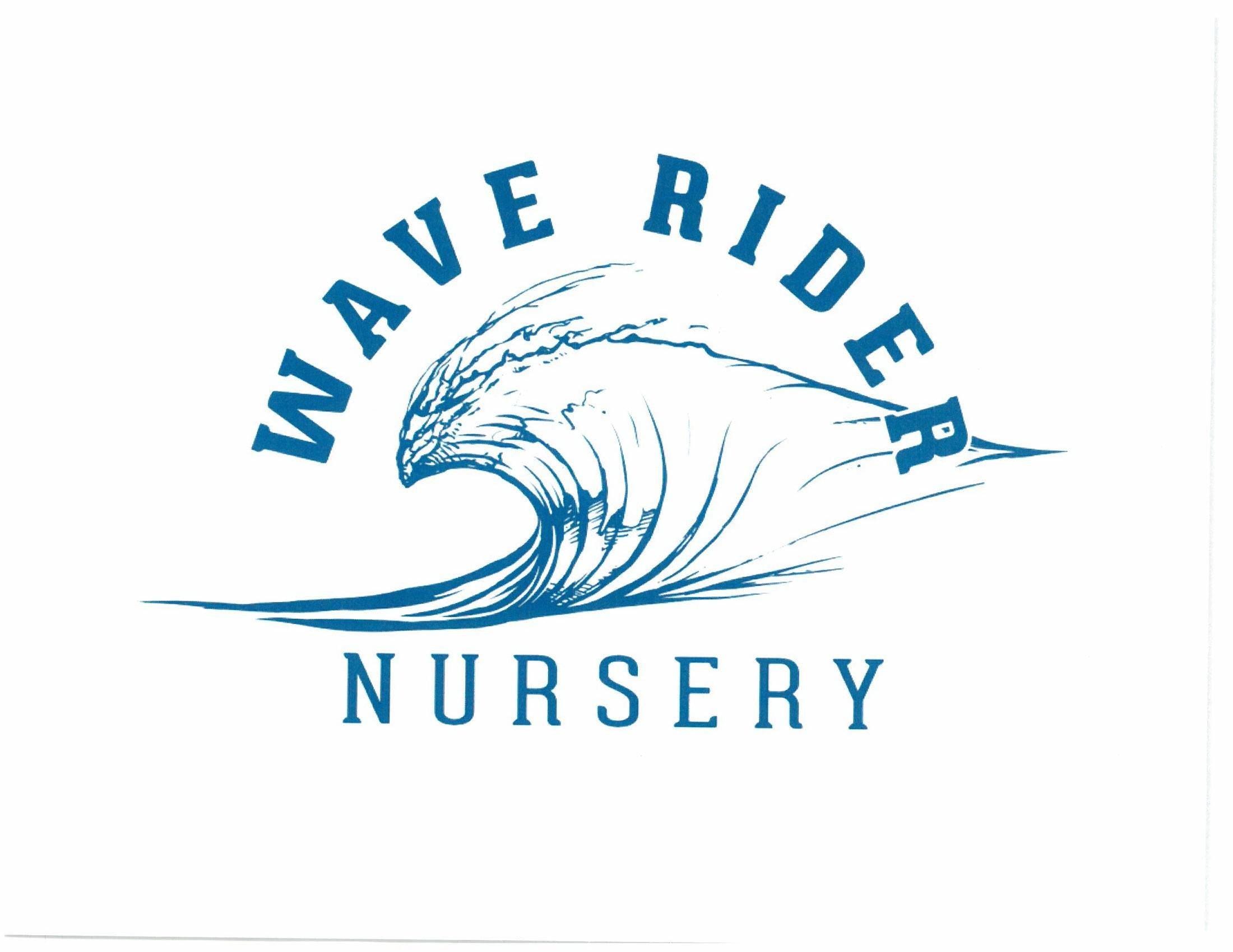 Wave Rider — Orange Gelato