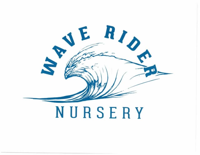 Wave Rider — Orange Gelato