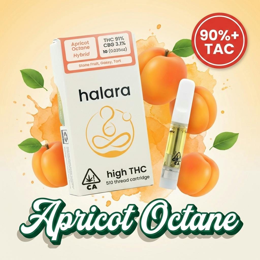 Halara — Apricot Octane L