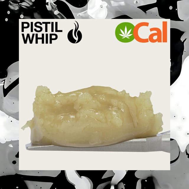 Papaya x Strawguava #7 | 1g Live Rosin Badder