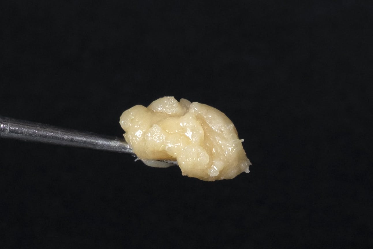 Lemon Bean 1g Whipped Live Rosin
