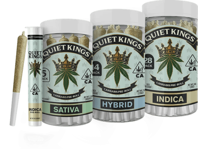 Quiet Kings — Blueberry Pancake