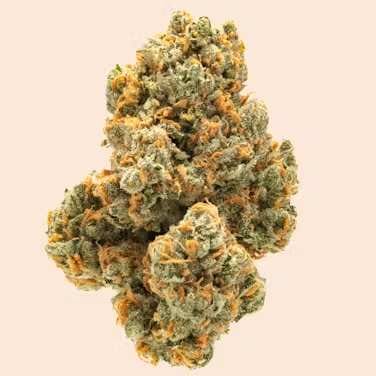 Chico Verde — Green Crack