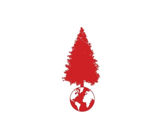 Big Tree — Master Kush