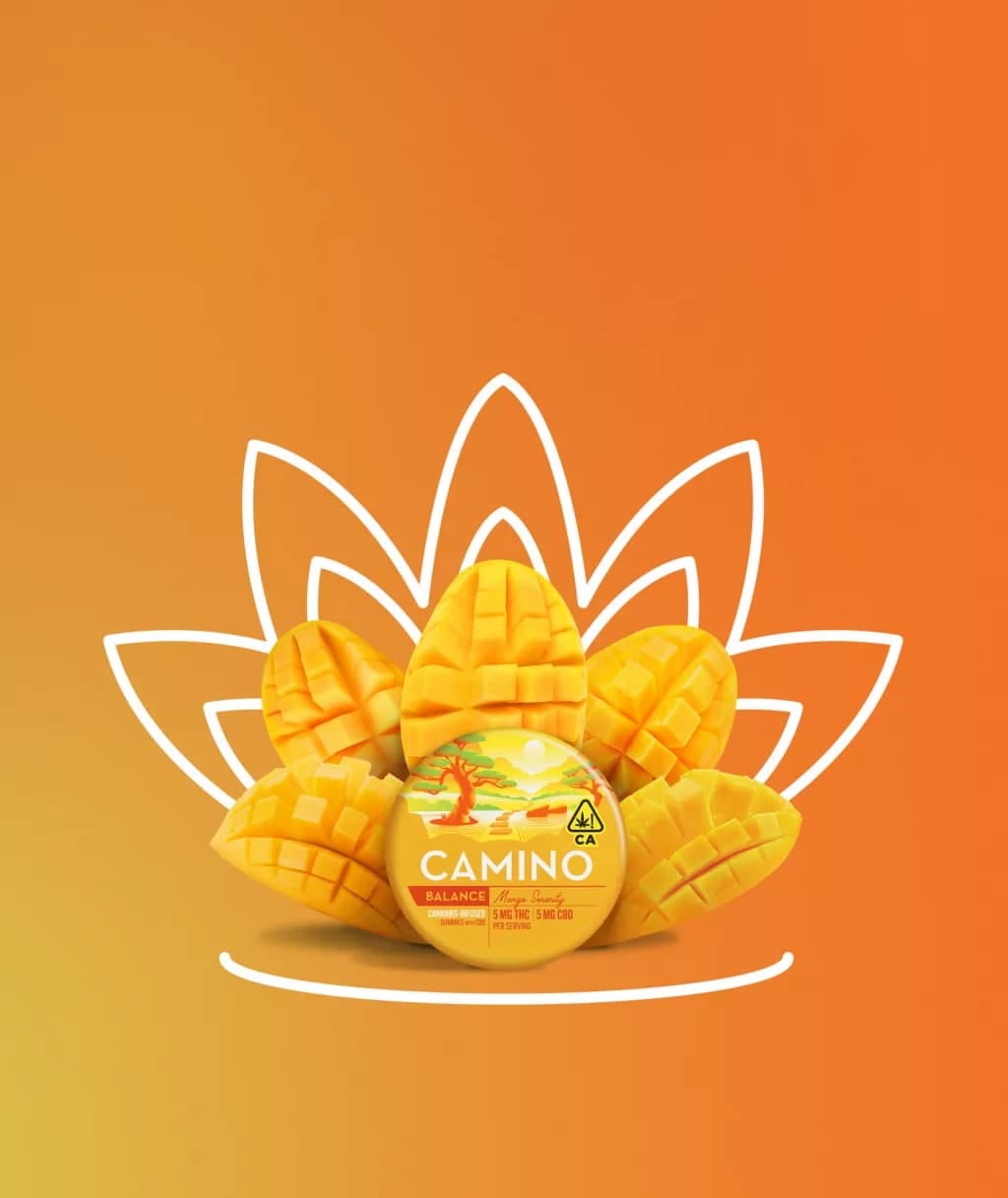 CAMINO — Mango Serenity