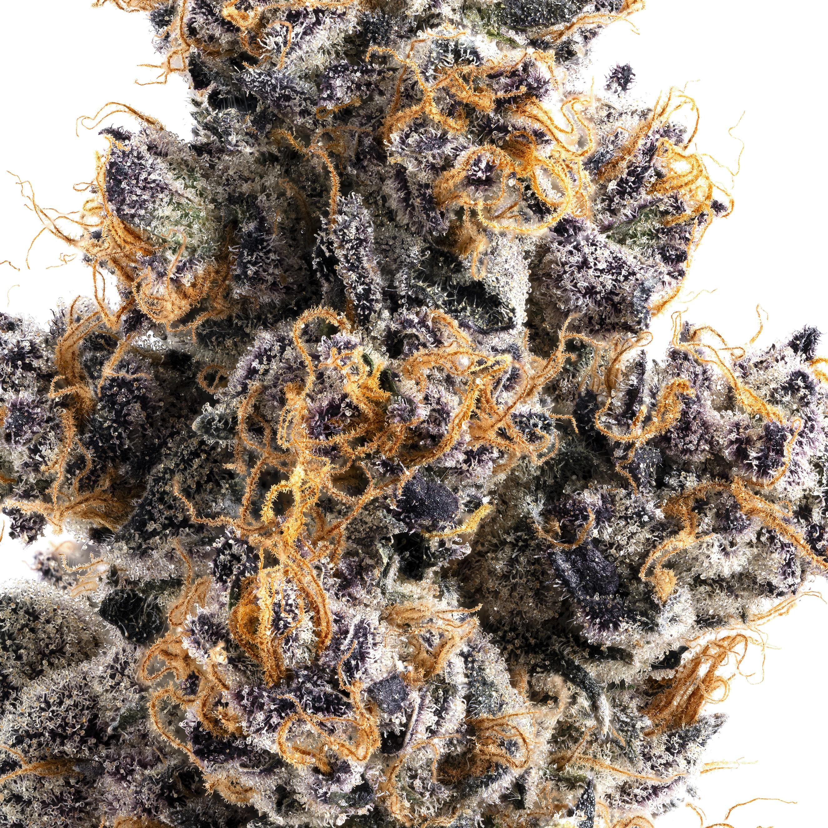 Lumpy's Flowers — Jane Dough