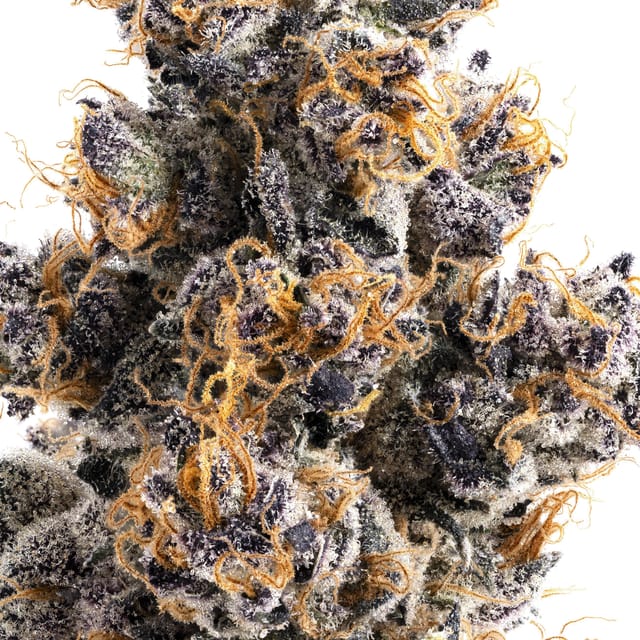 Lumpy's Flowers β Jane Dough