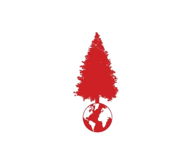 Big Tree — Master Kush