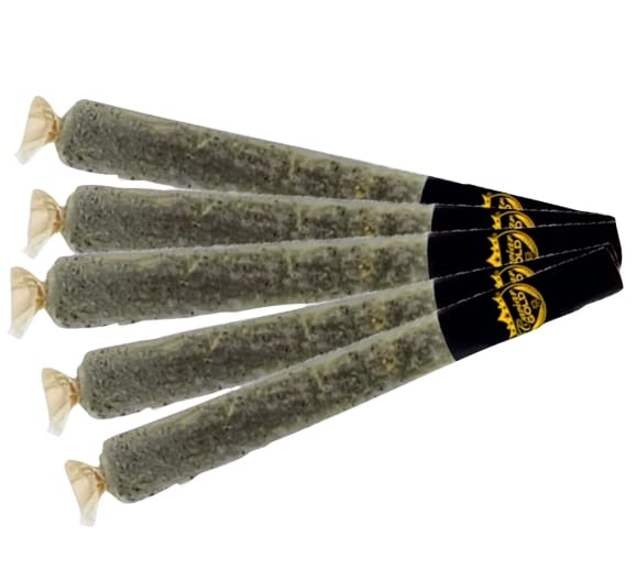 Caviar Gold — Lost Louie