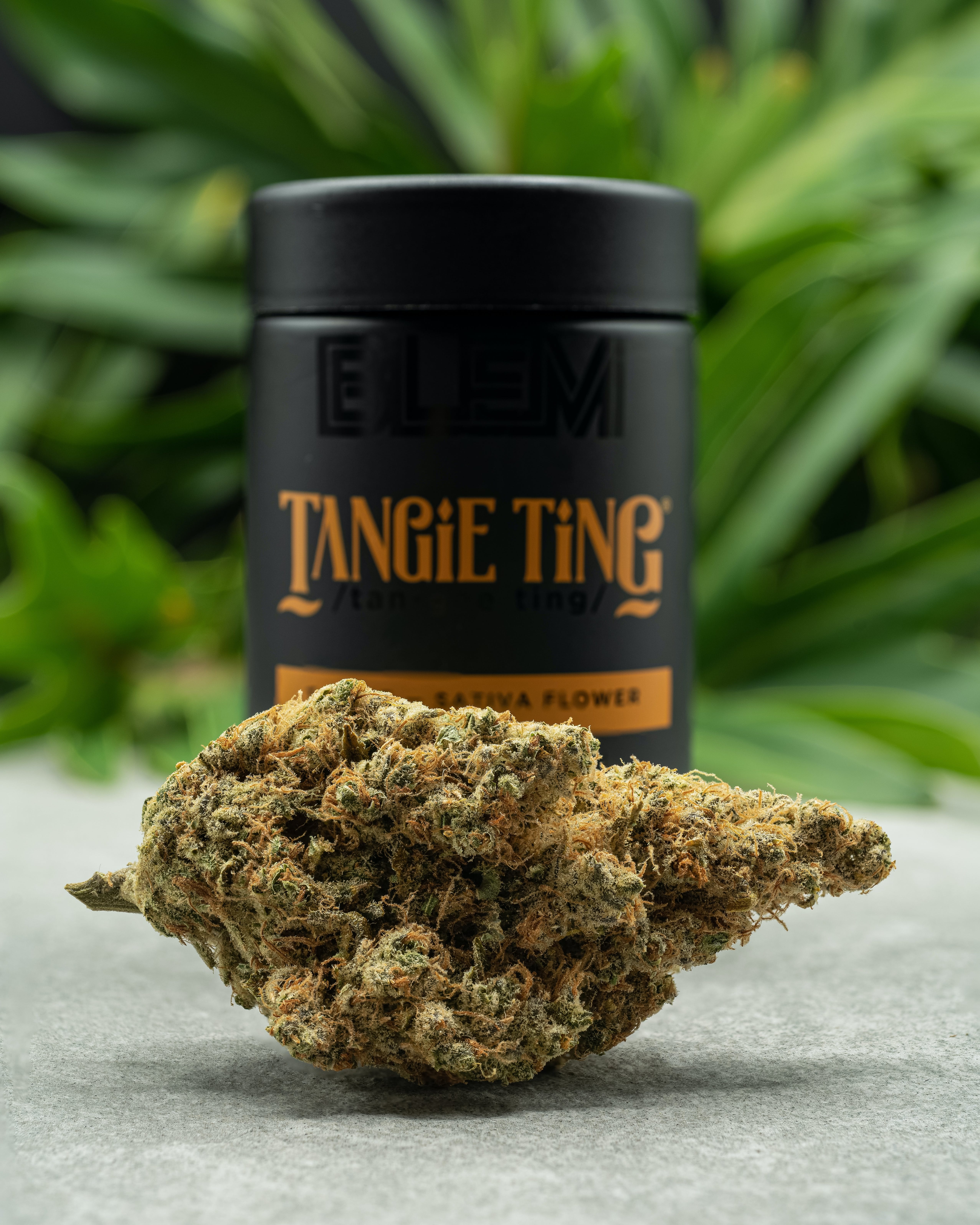 BLEM: Tangie Ting