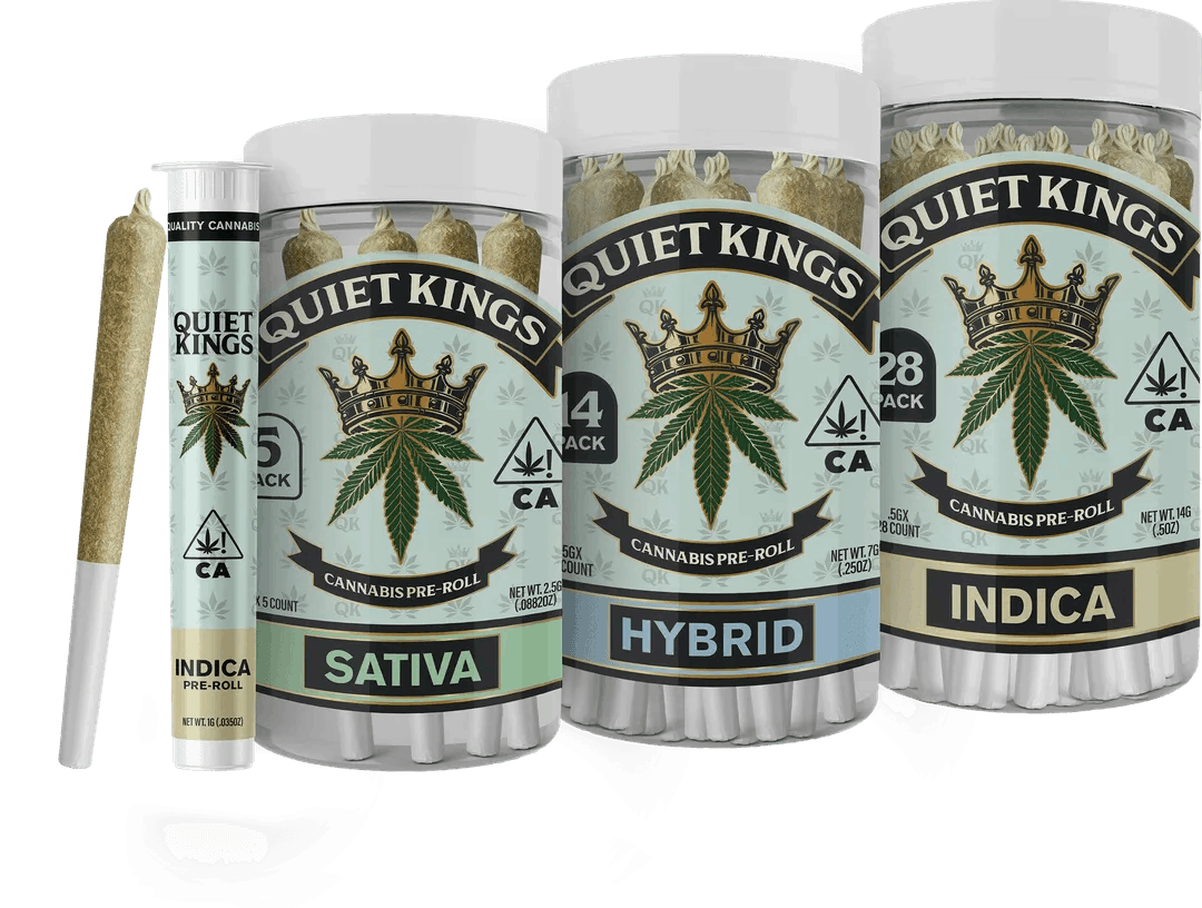 Quiet Kings: Lemon Zest