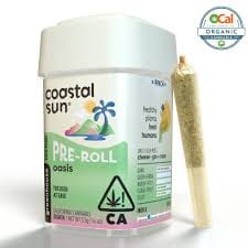 Coastal Sun — Oasis