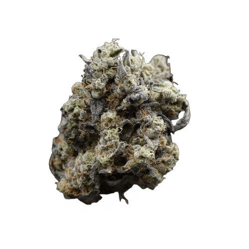 Gush Mintz | 3.5g