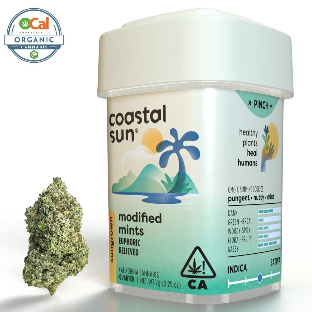 Coastal Sun — Modified Mints