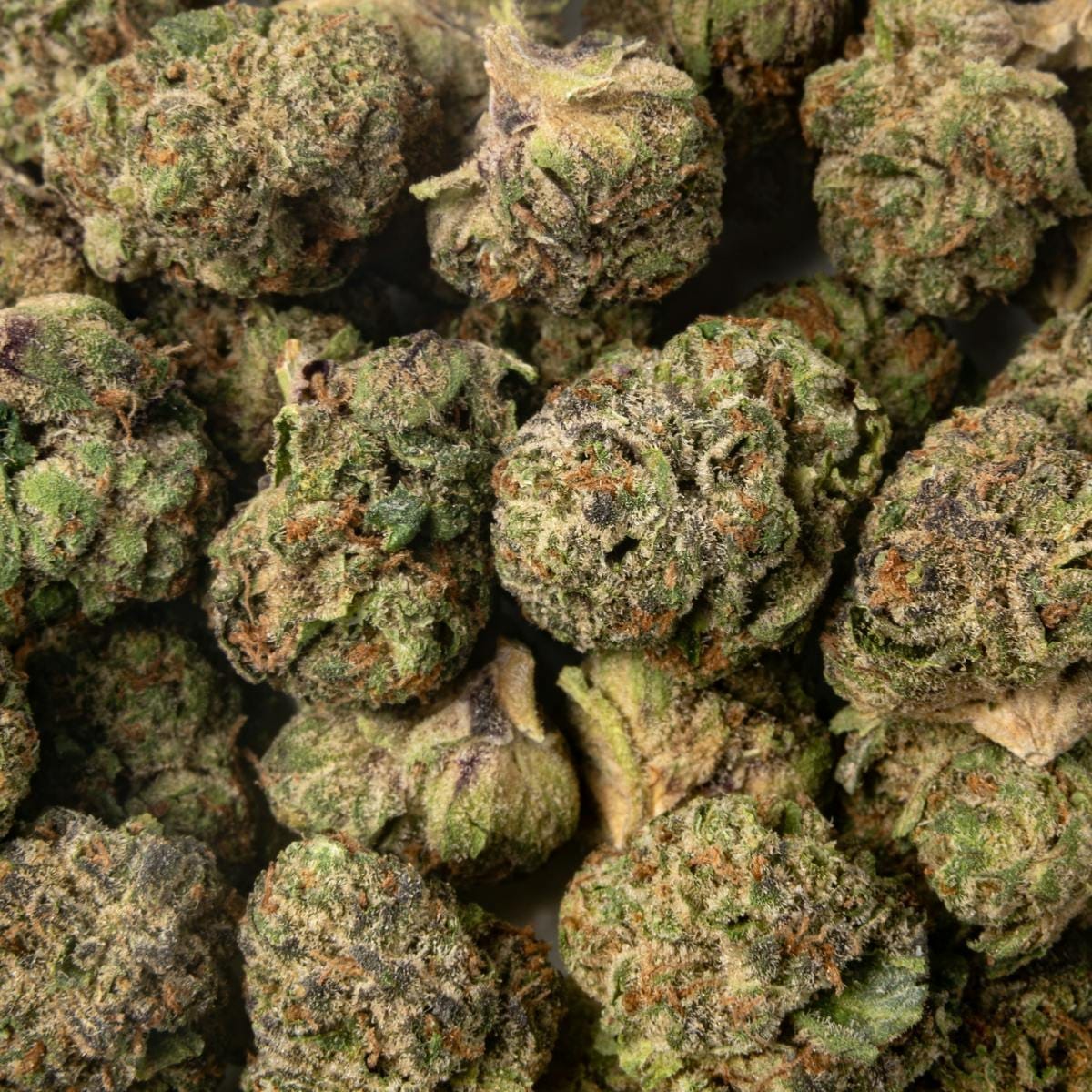 Stiiizy: Skywalker OG