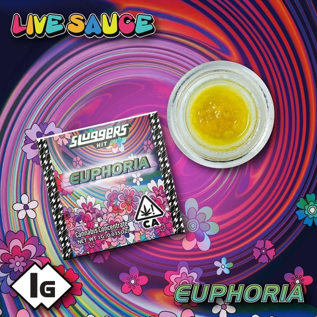 Sluggers Hit β Euphoria