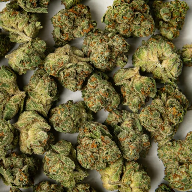 Cheetah Piss | 14g