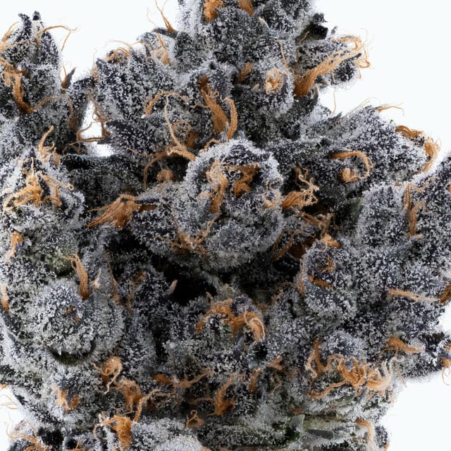 Lumpy's Flowers β Apple Fritter