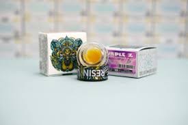Bear Labs β Purple Z