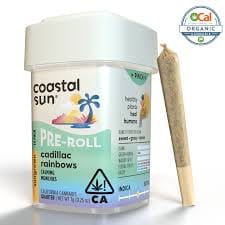 Coastal Sun — Cadillac Rainbows