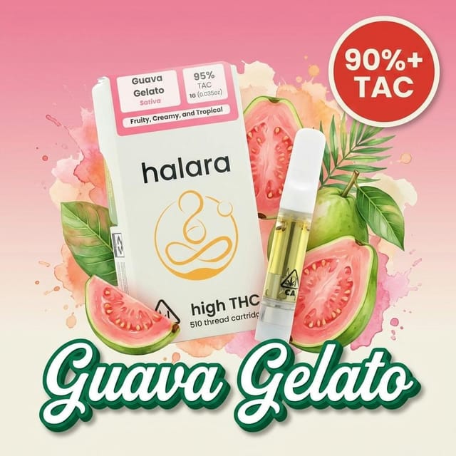 Halara: Guava Gelato